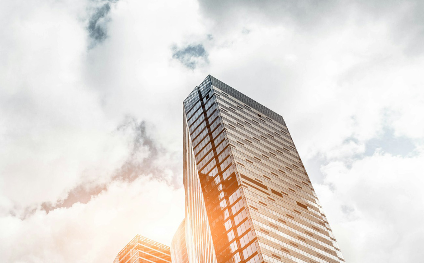  Accounting professionals support your business